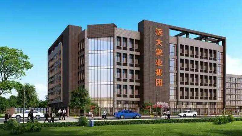 赛事数据采集环节的人工校验价值：为什么机器算得再快也需要人看一眼
